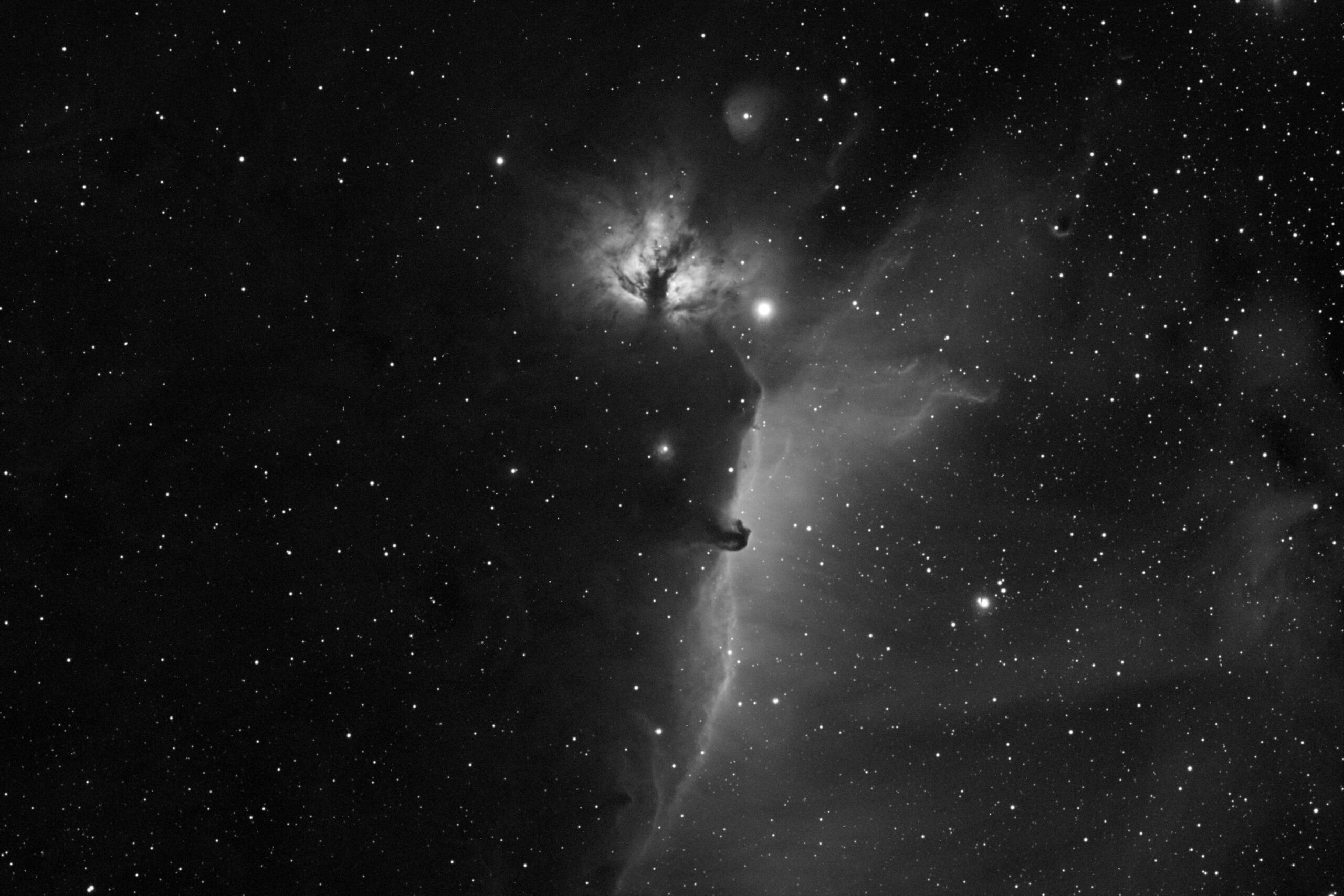 B33 – NGC2024