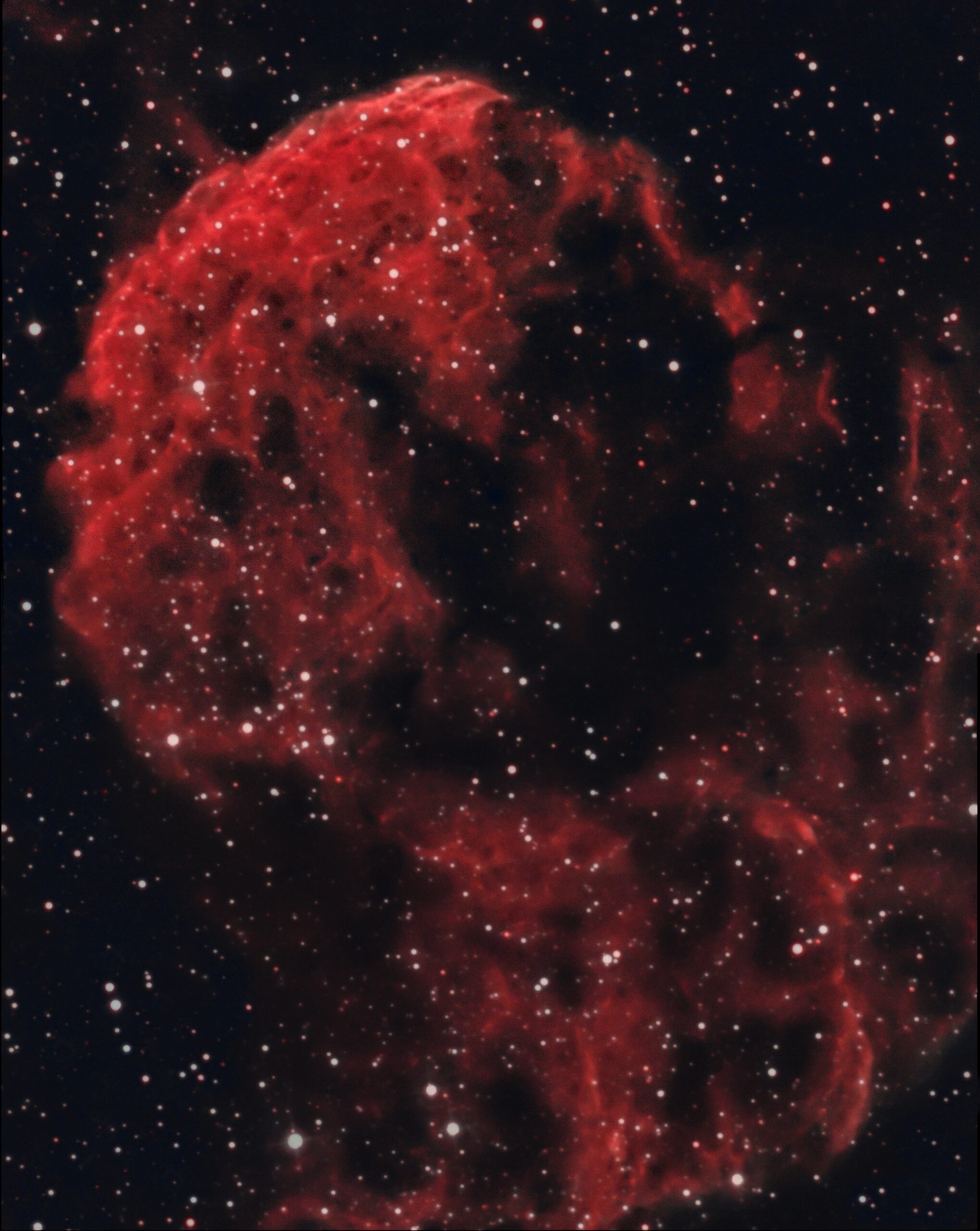 IC 443 – Jellyfish Nebula
