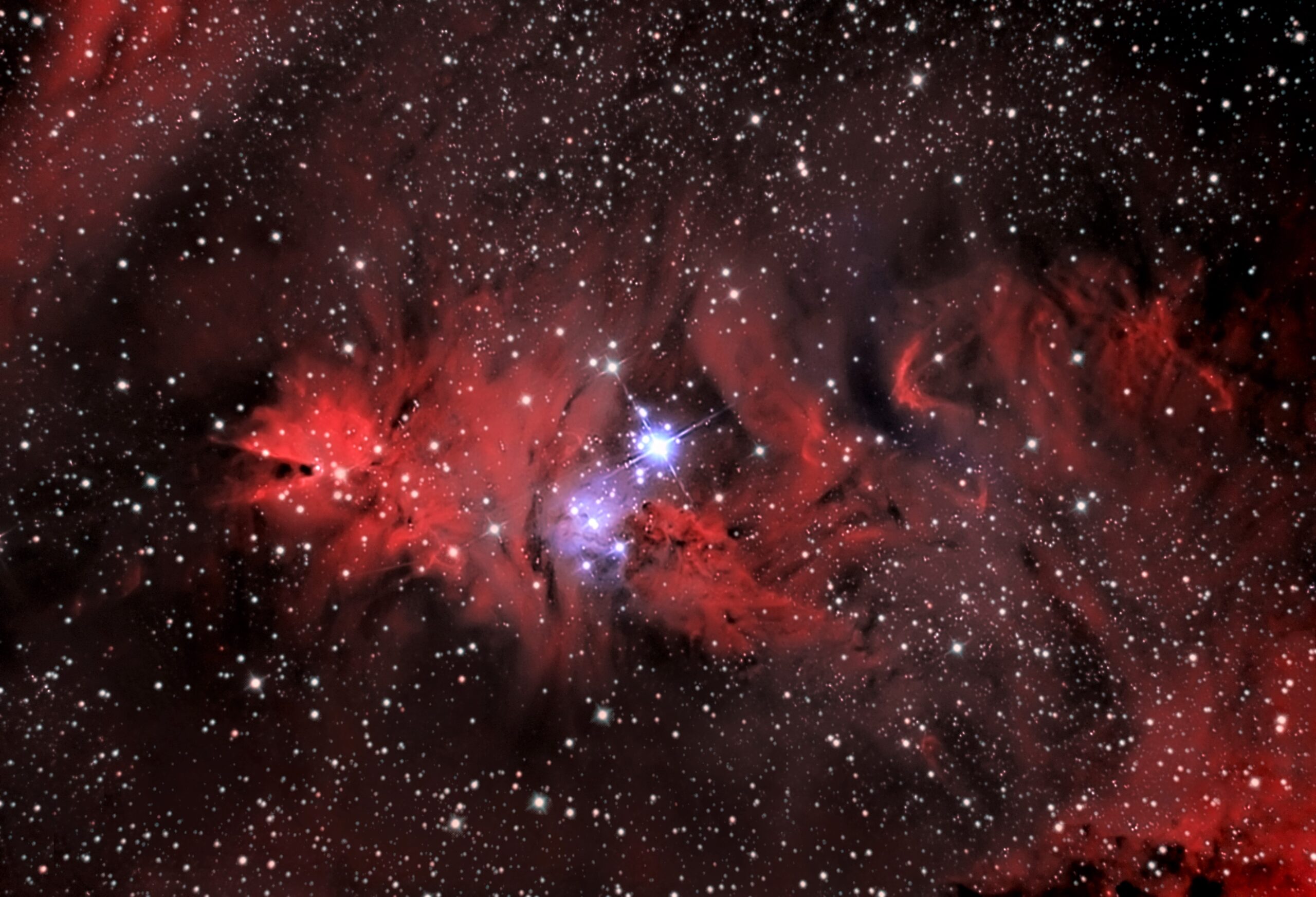 NGC 2264 – Nebulosa cono  Albero di Natale