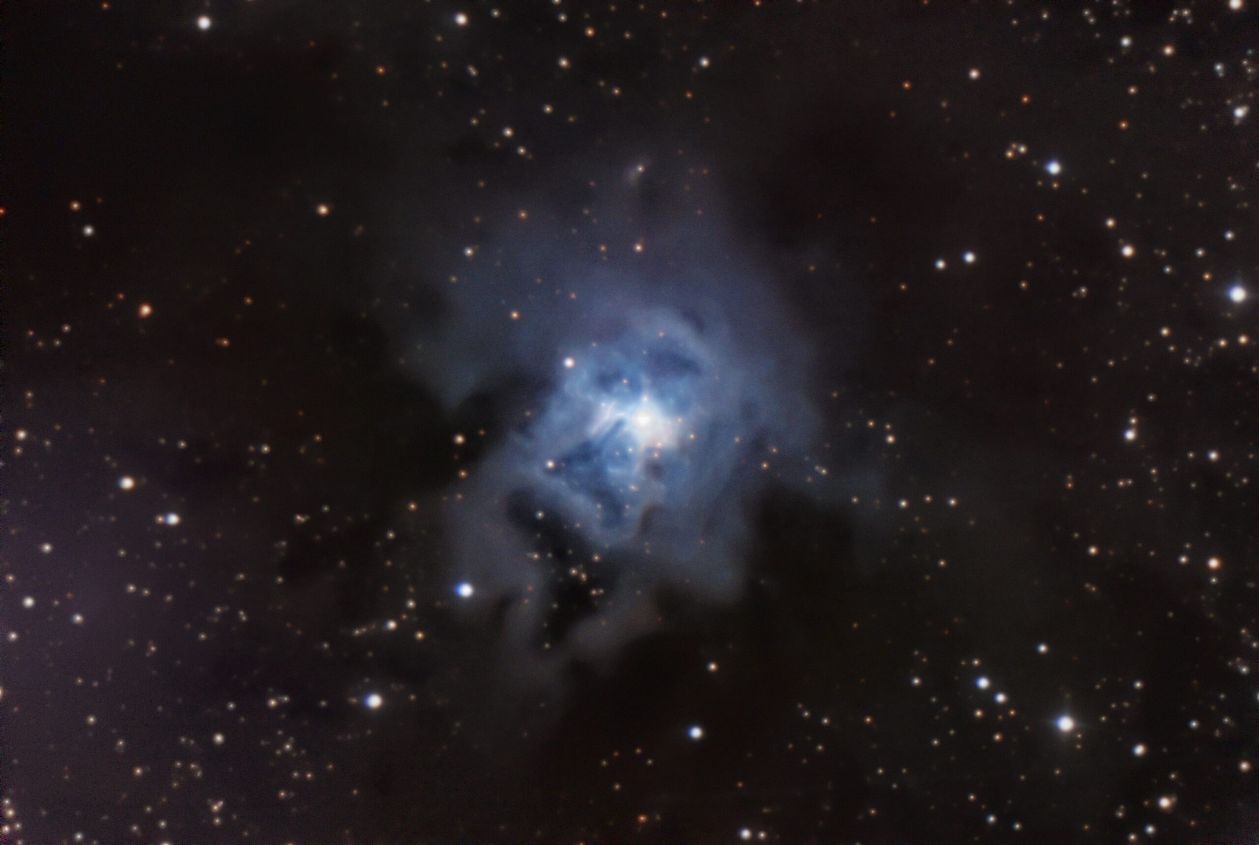 NGC7023 – Nebulosa Iris