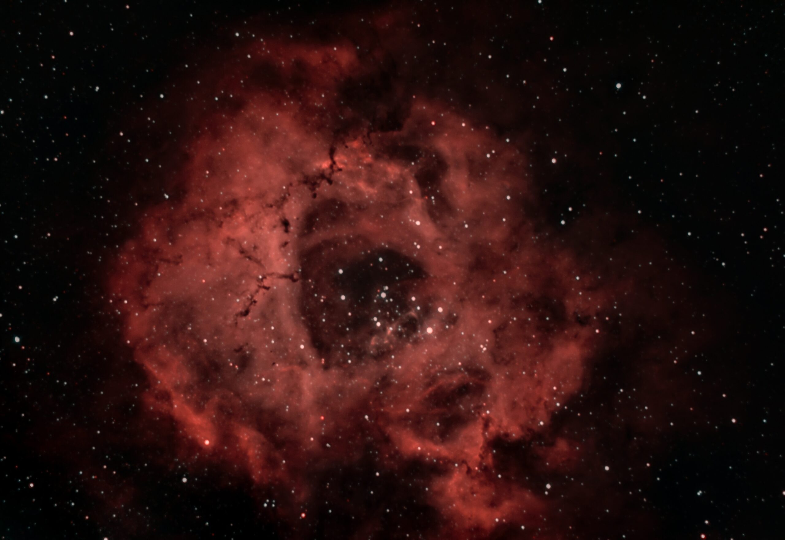 SH2-275 Nebulosa rosetta