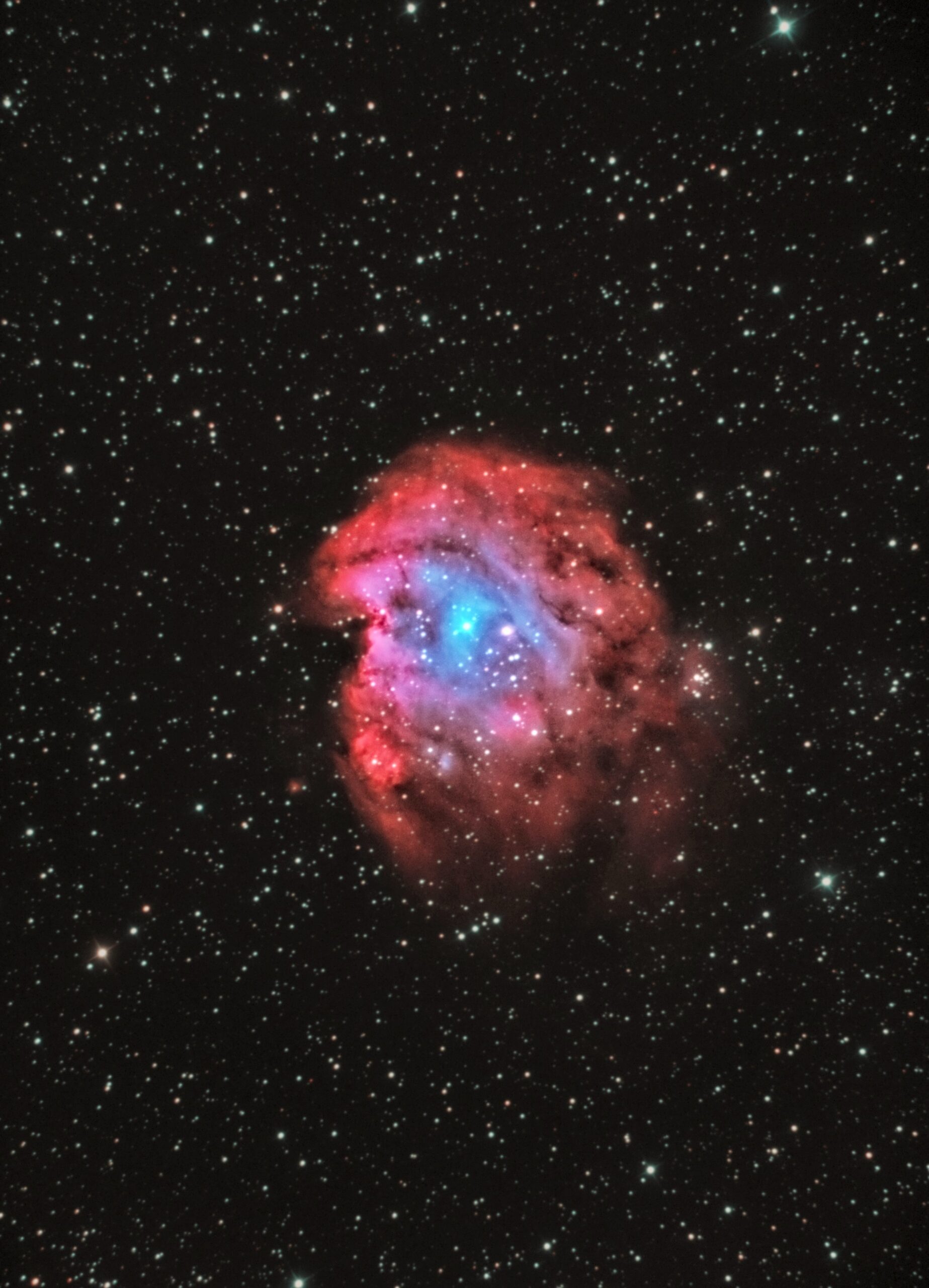 SH2 252 ngc2175 nebulosa testa di scimmia