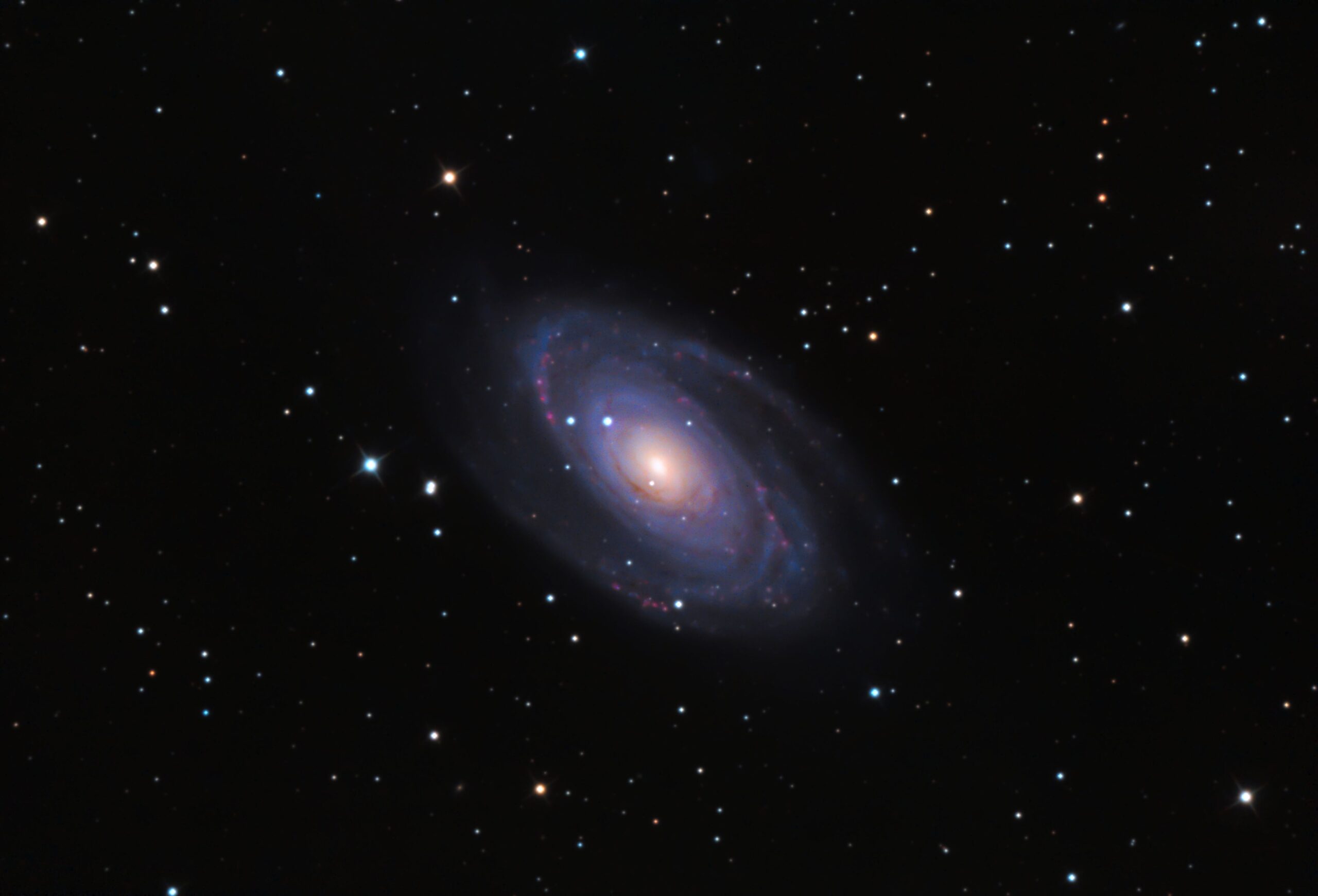 M81 NGC 3031 – Galassia di Bode