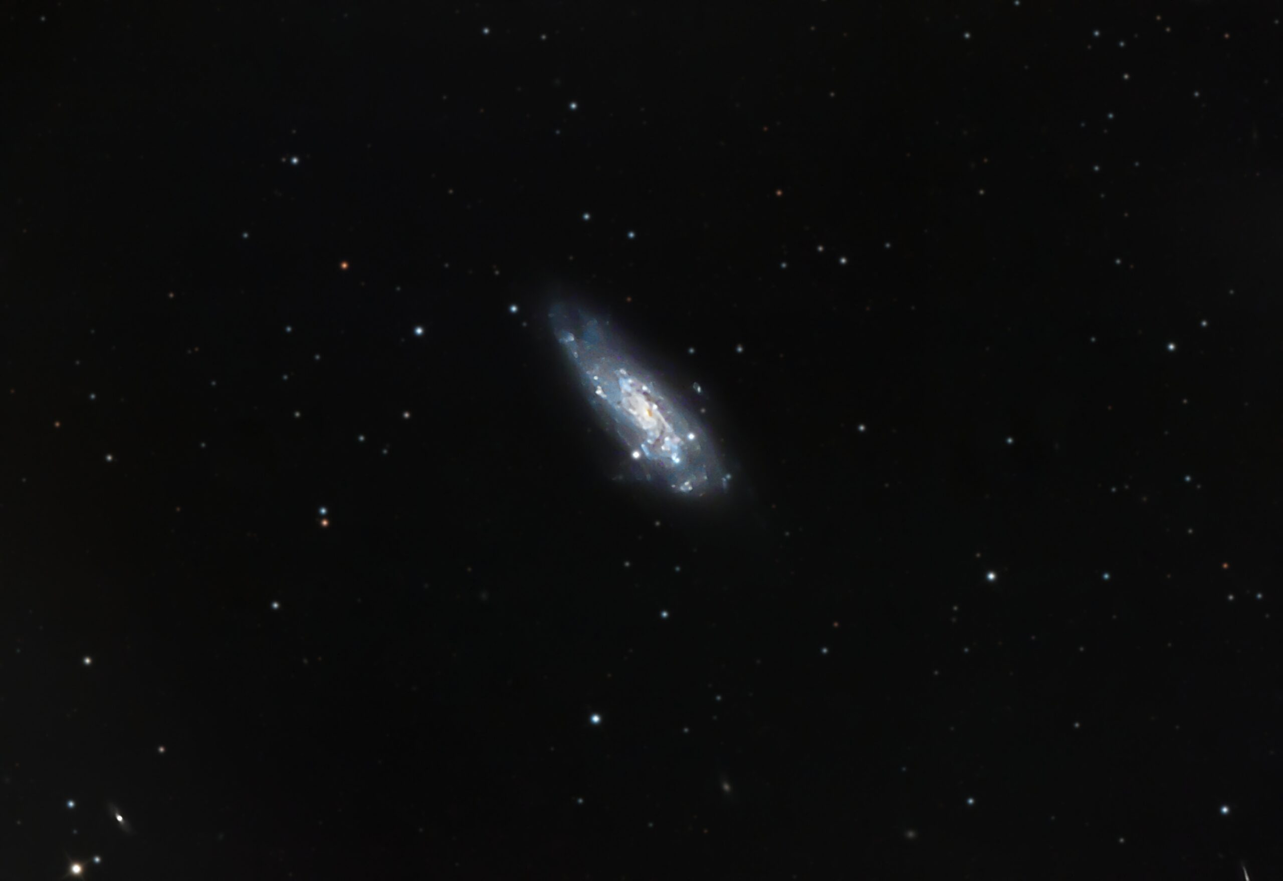 Ngc 4559 C36 galassia pesce koi