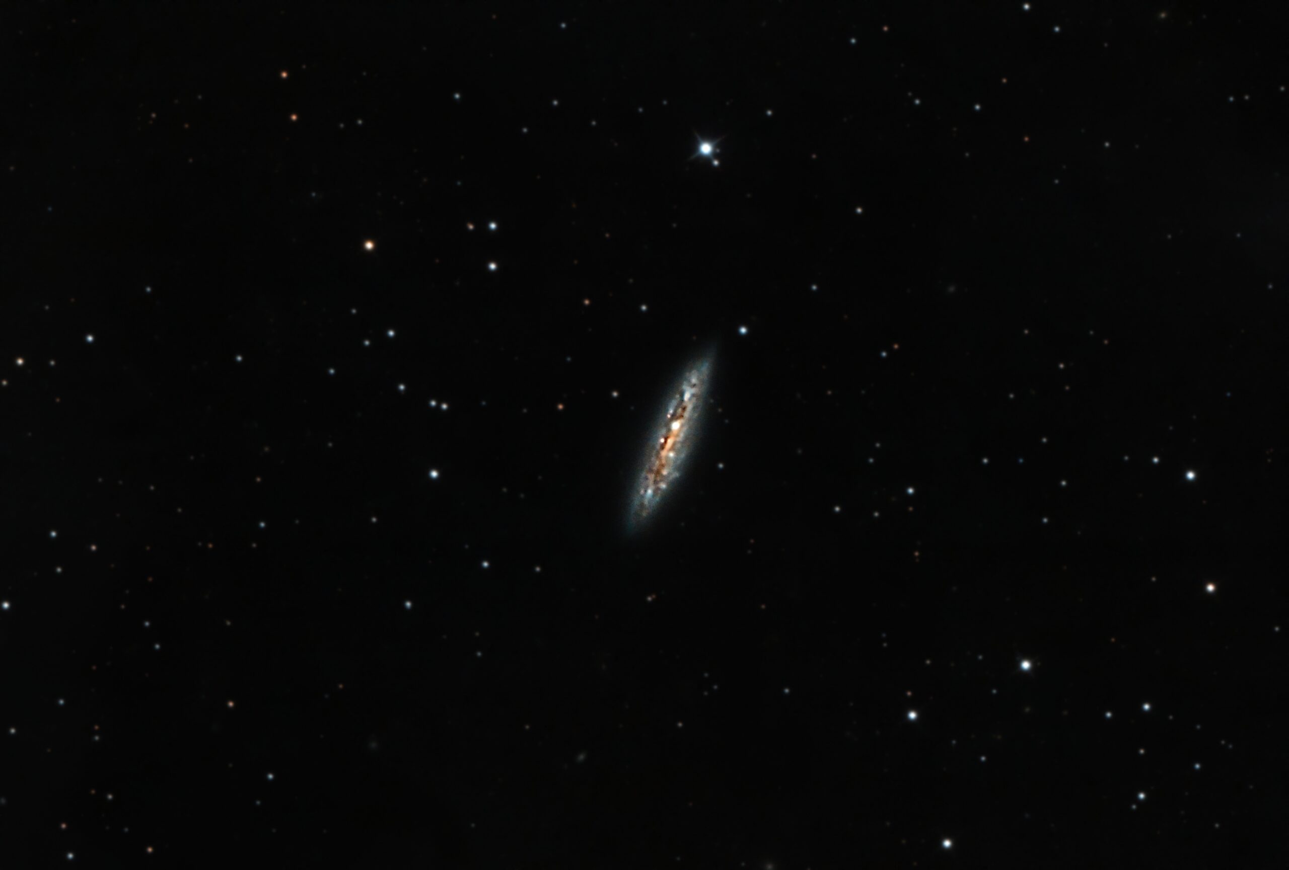 M108 NGC 3556