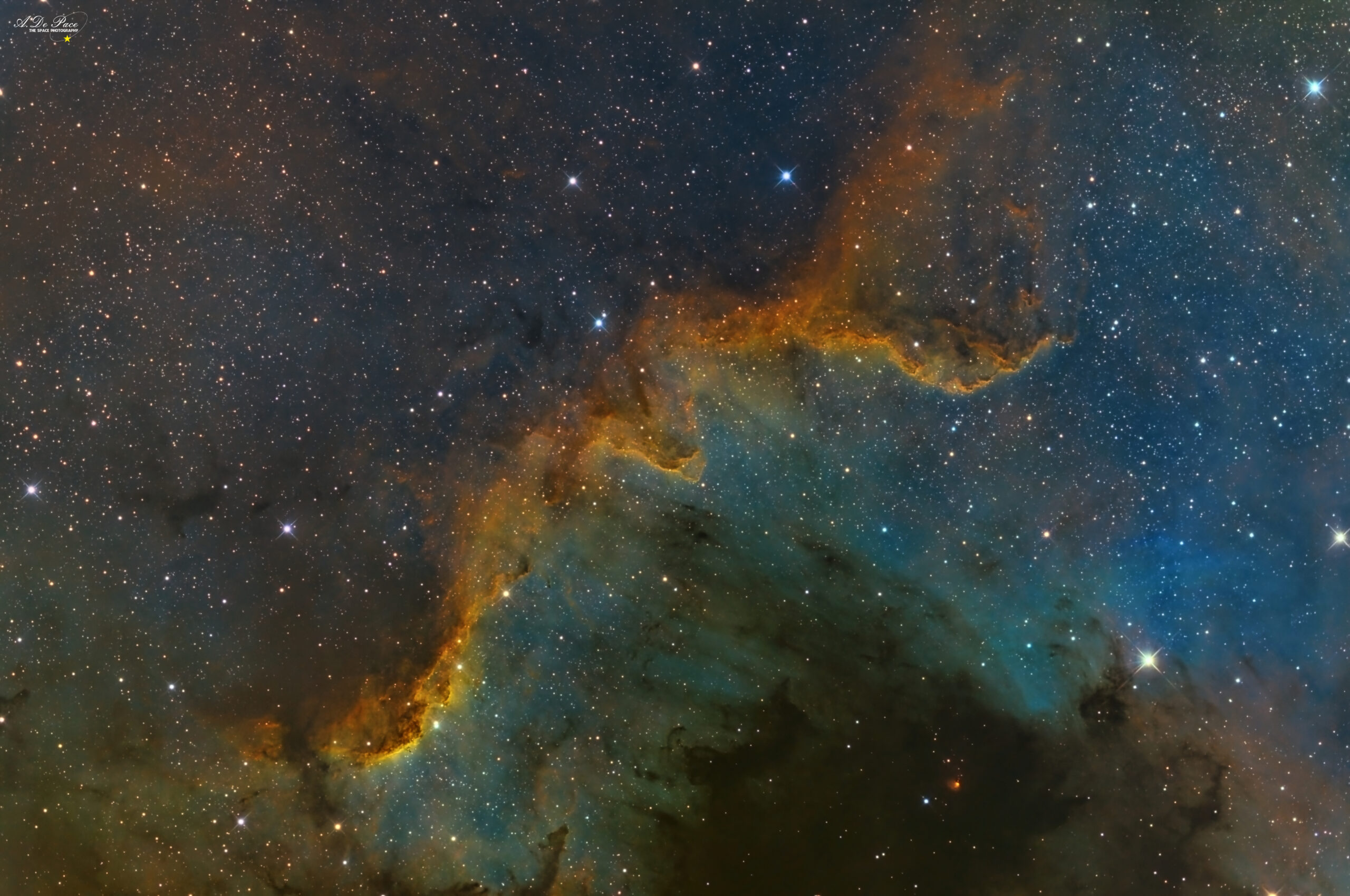 Nebulosa Muro del Cigno