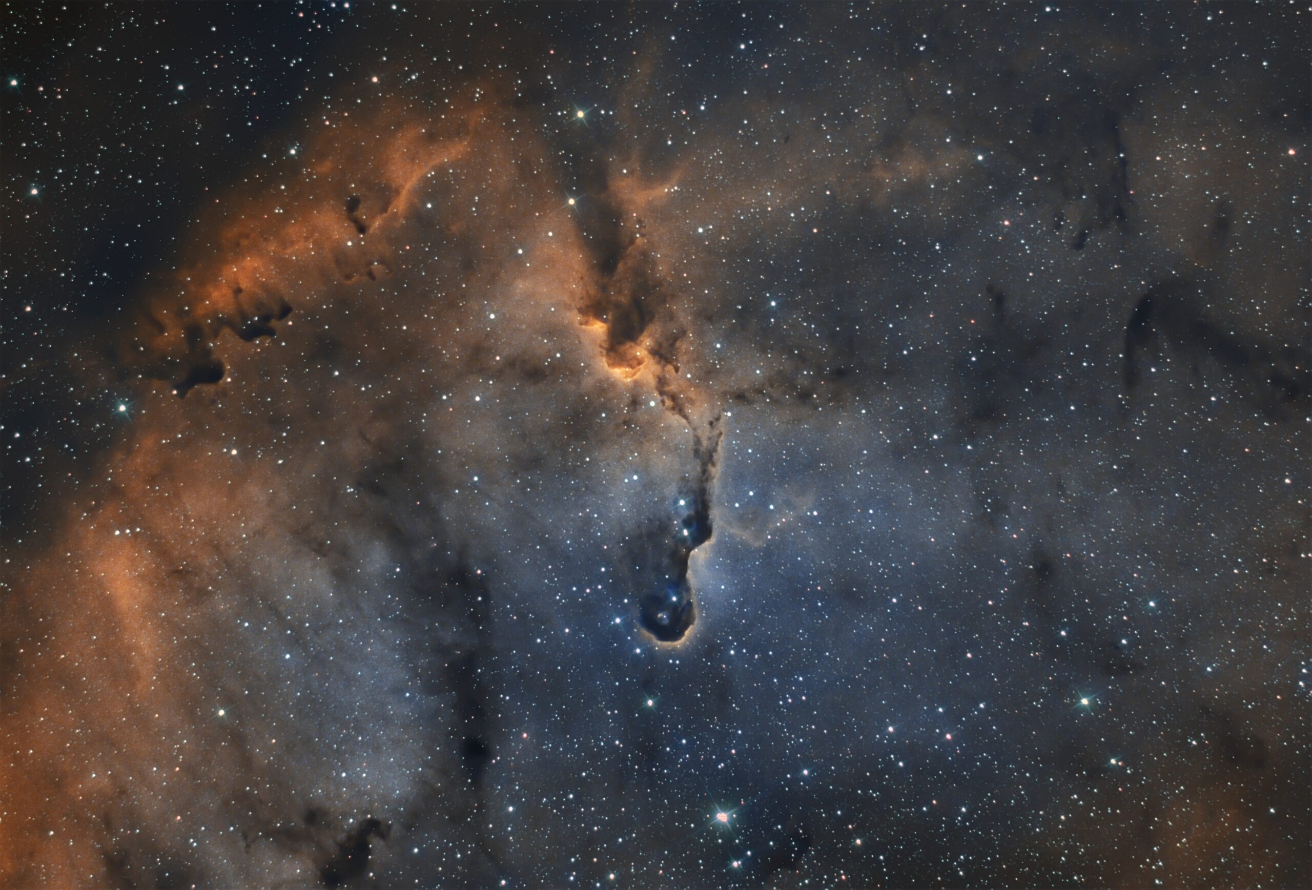 IC 1396 – Nebulosa Proboscide d’Elefante