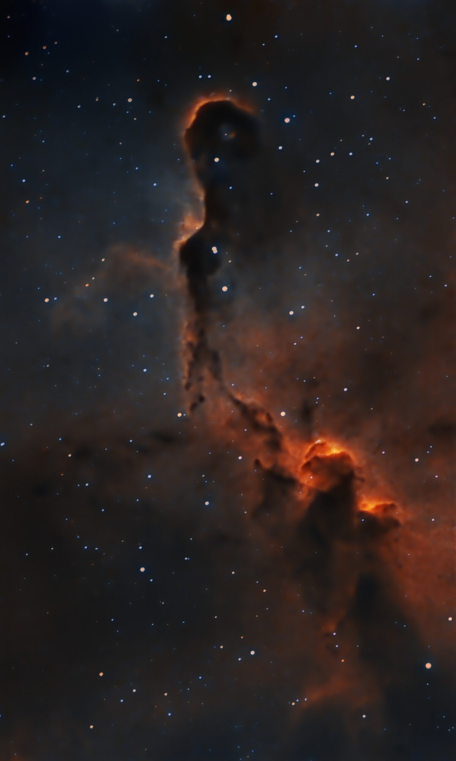 vdB 142-LDN 1093 -nebulosa proboscide d’elefante
