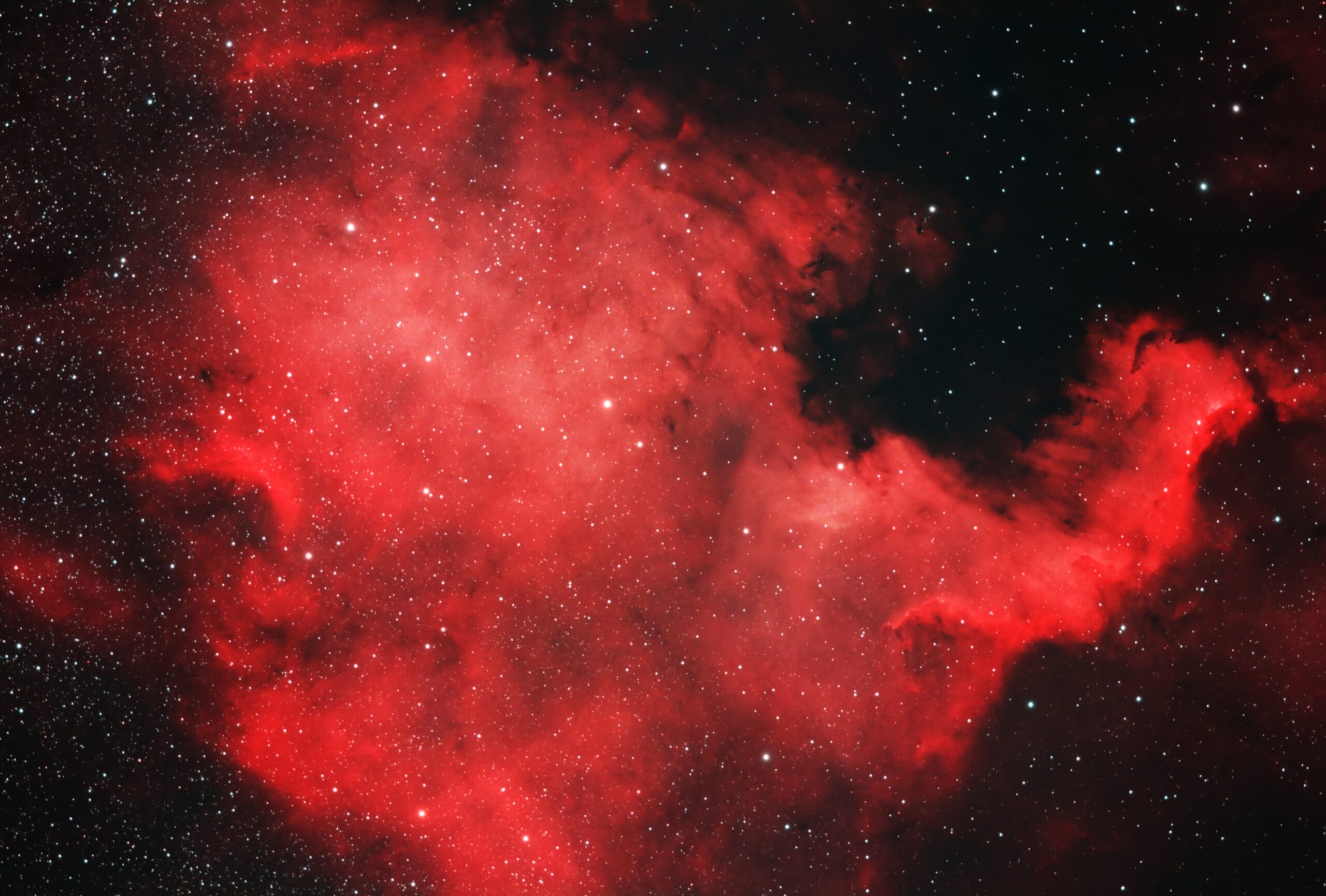 NGC 7000 – Nebulosa Nord America