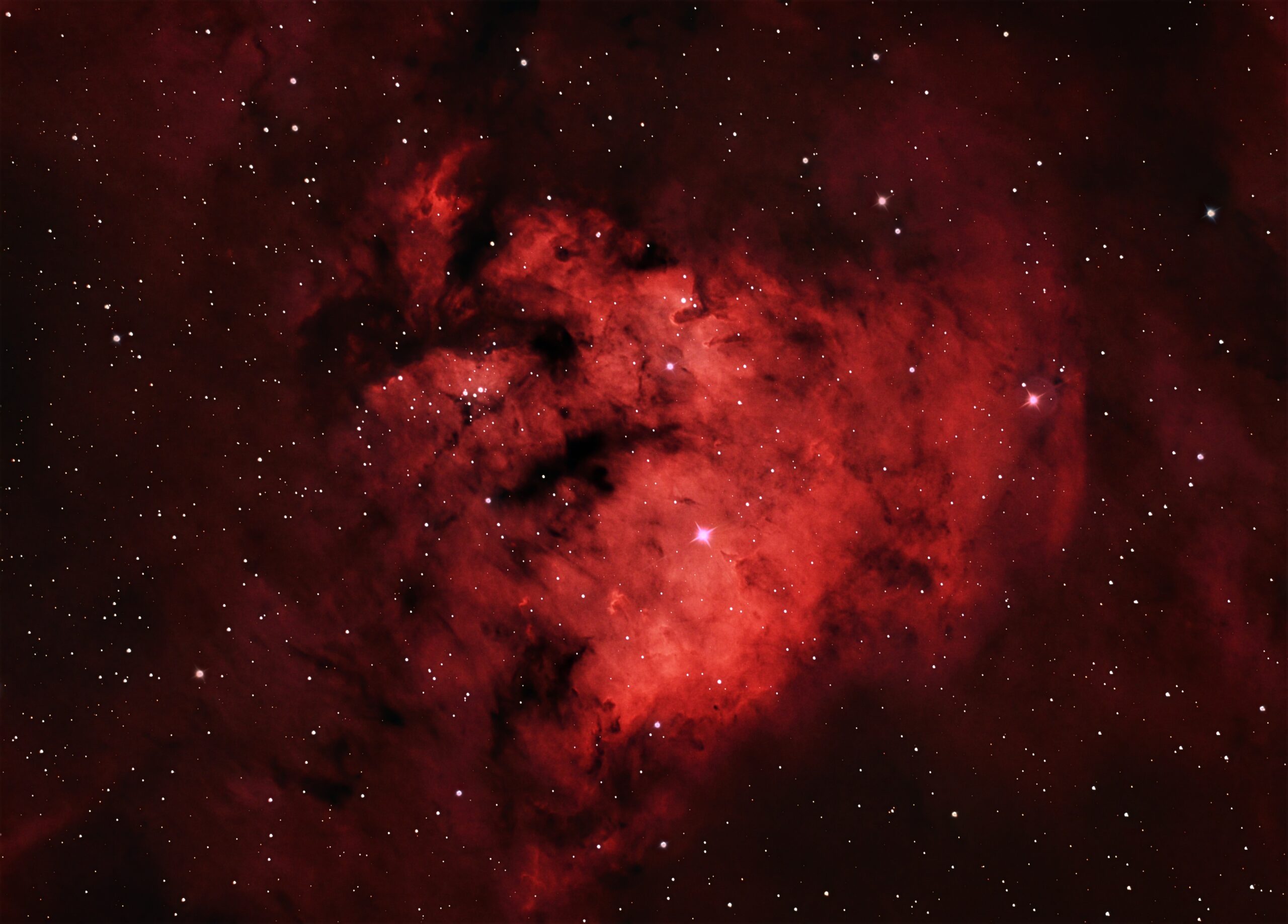 LDN 1270 Nebulosa oscura in cefeo