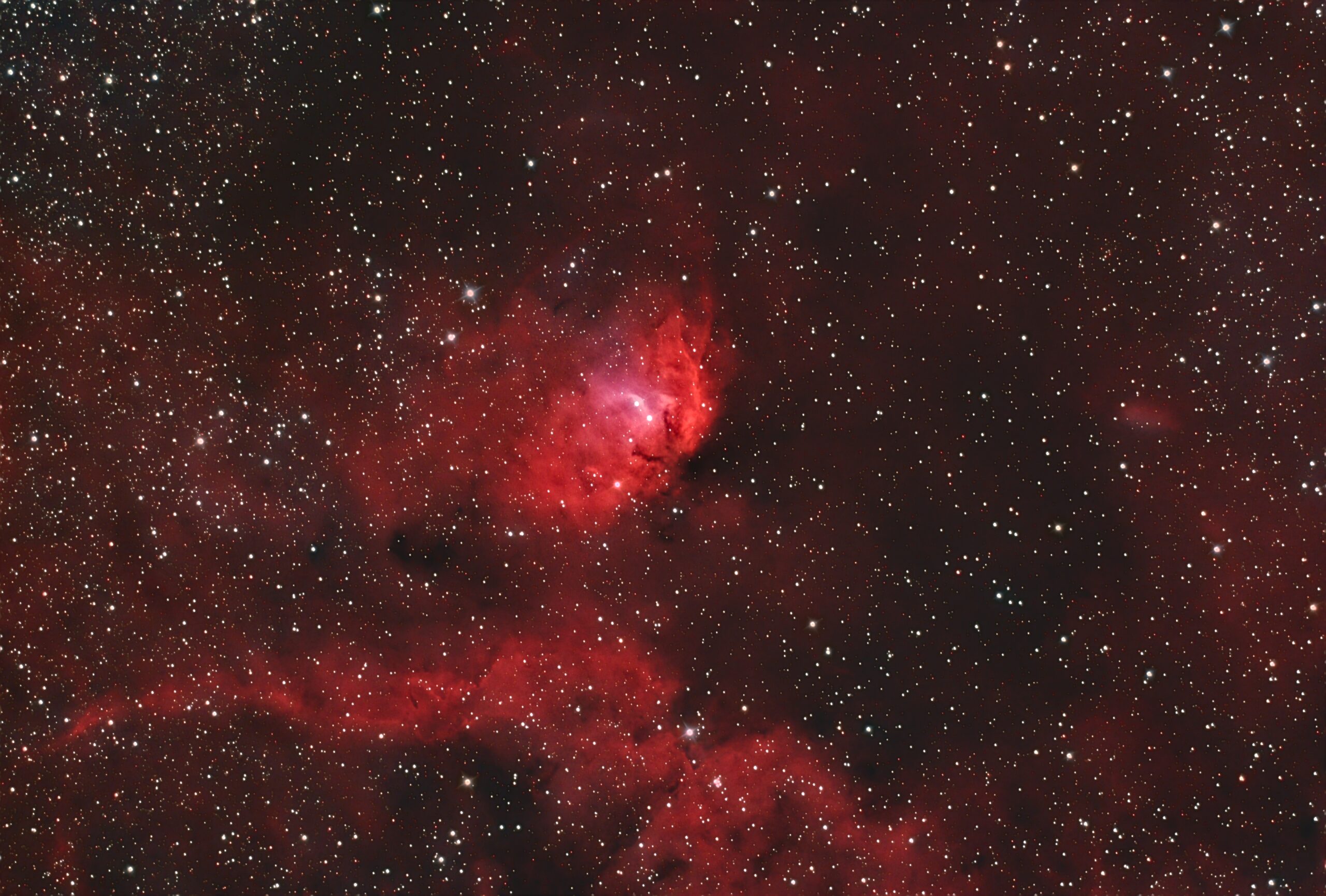 SH2-101 – Nebulosa Tulipano