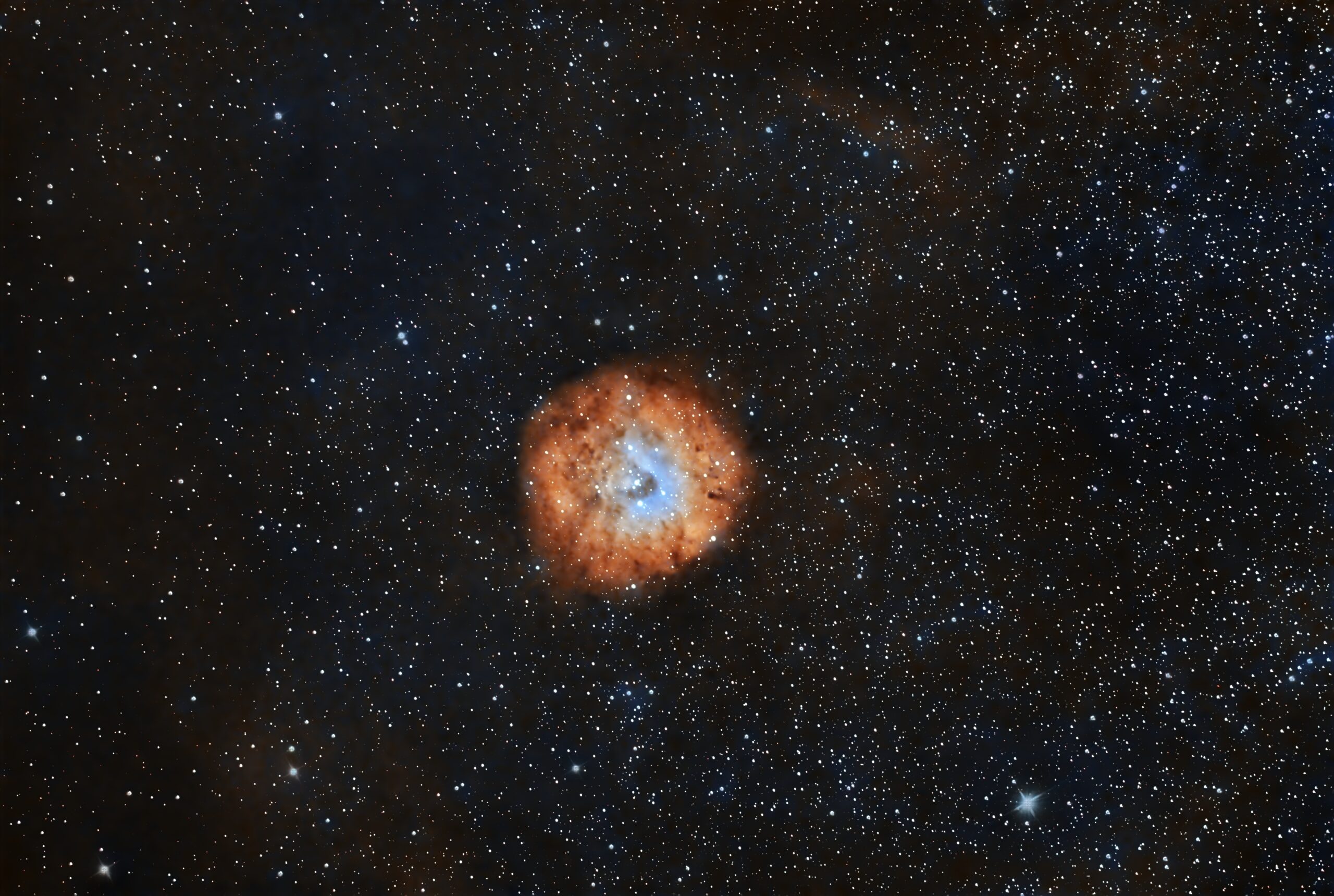Sh2-170 Nebulosa piccola rosetta.