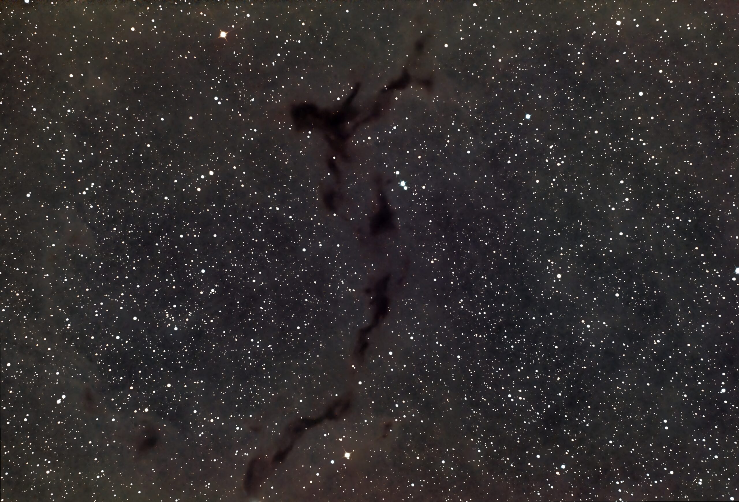 B150 – Seahorse Nebula