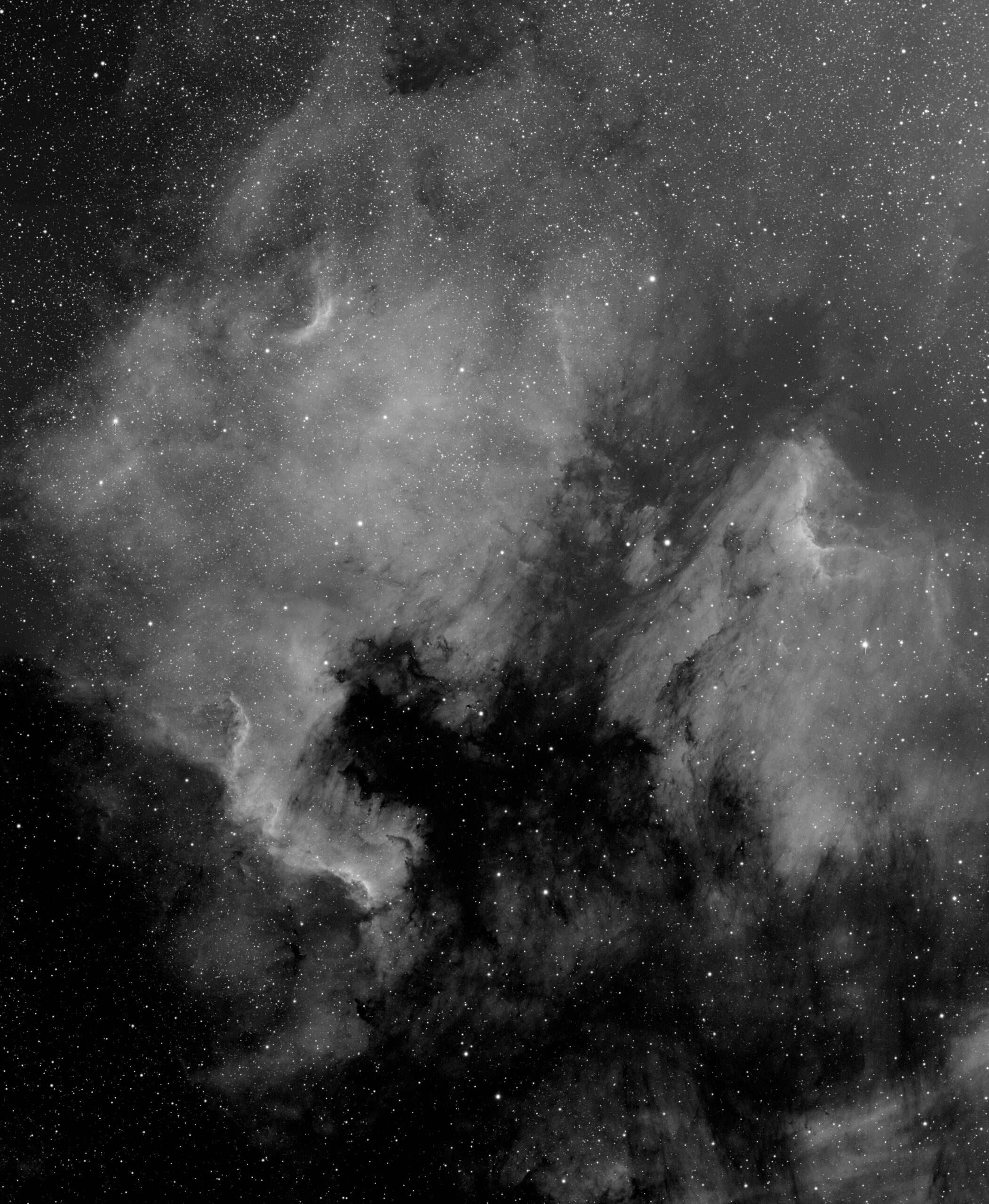 NGC 7000 – Nebulosa Nord America