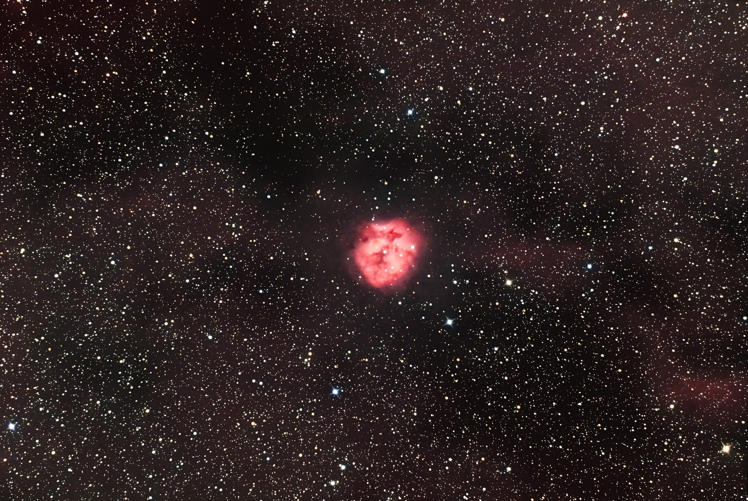 IC 5146 Nebulosa bozzolo “cocoon nebula”