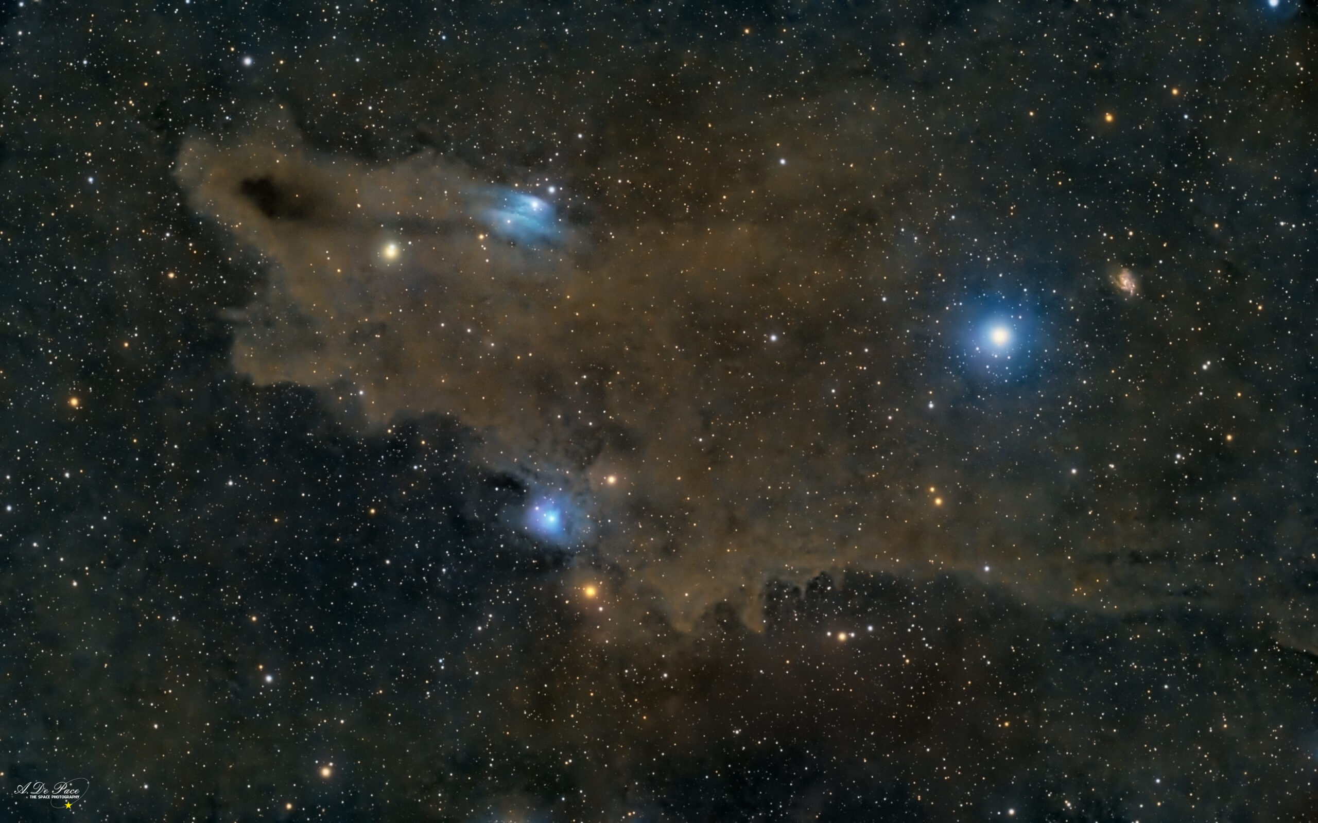 LDN 1235 – Shark Nebula