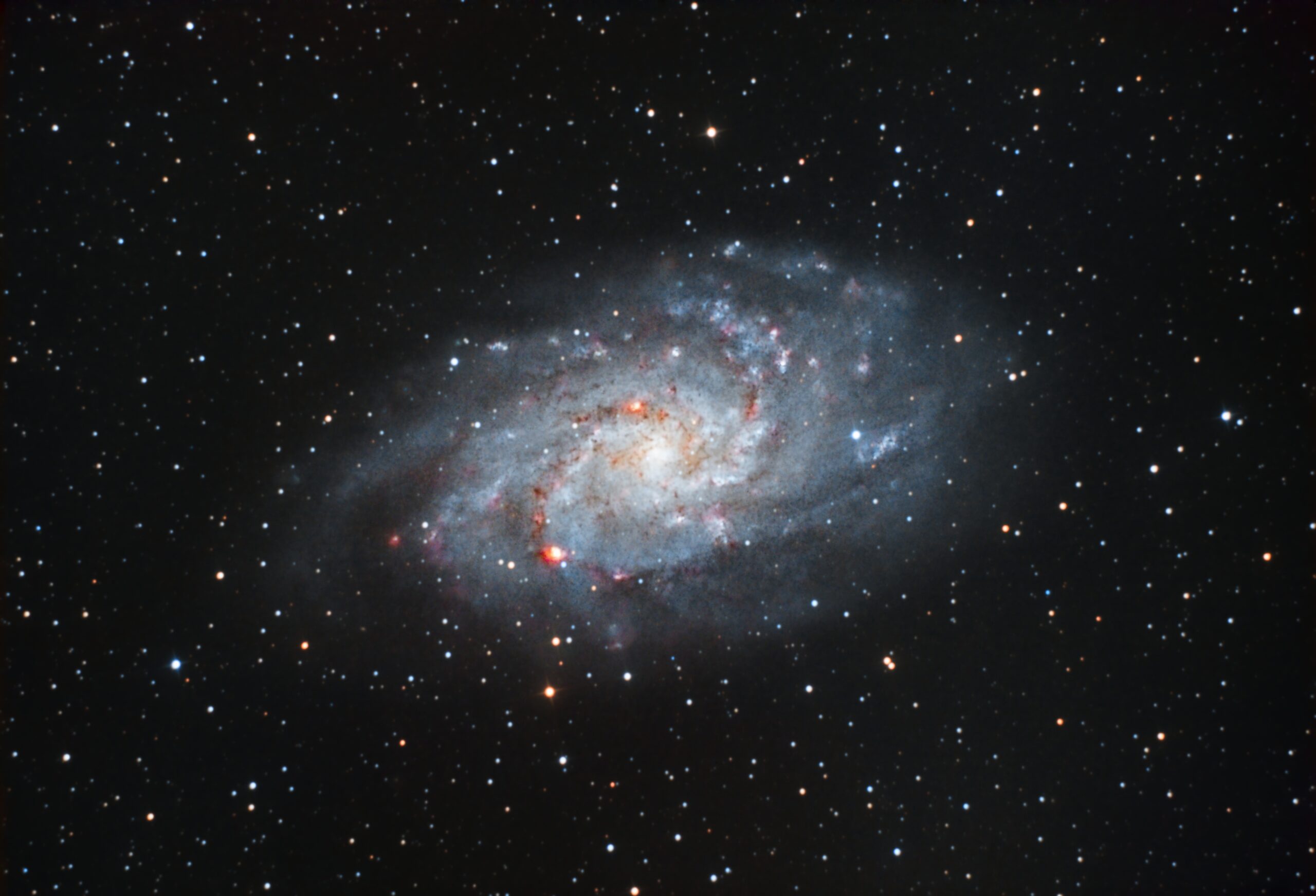 M33 -NGC 598