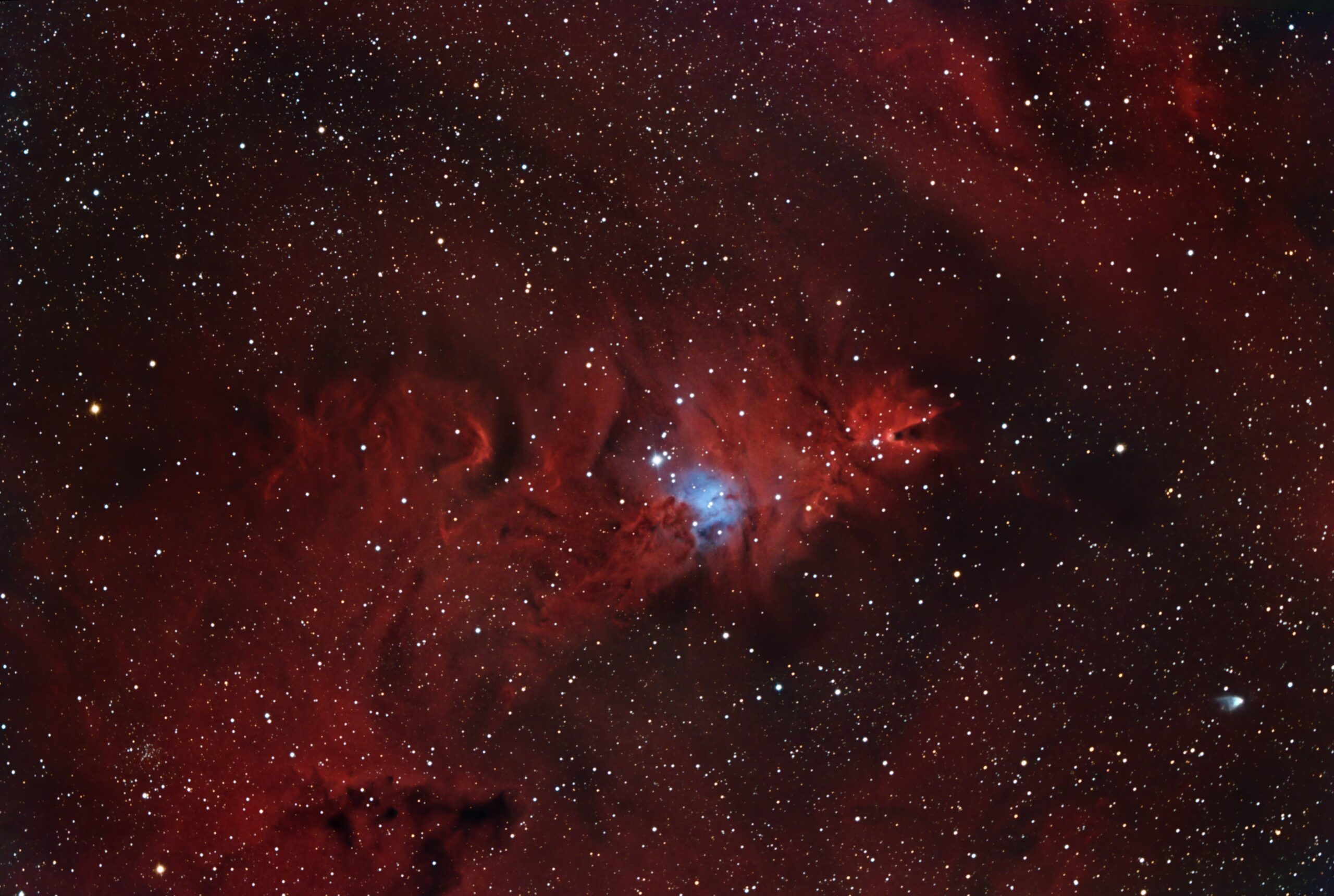 NGC 2264 – SH2-273