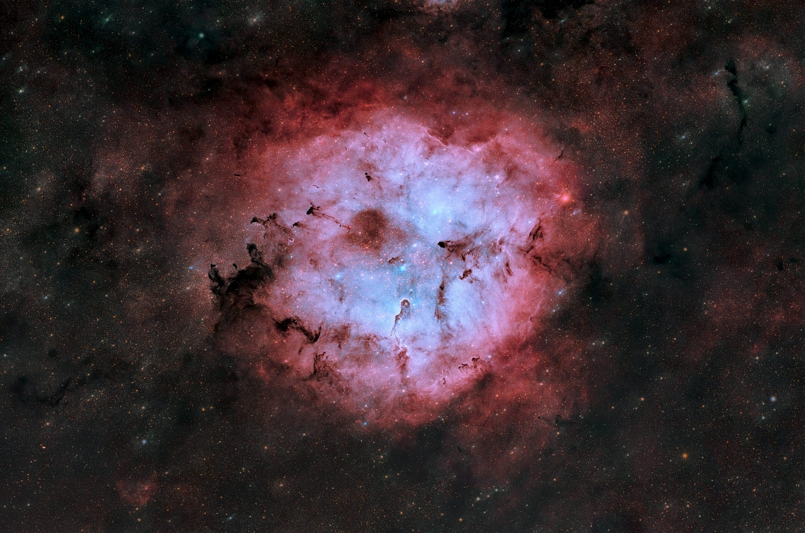 IC 1396 e la Nebulosa Proboscide d’Elefante – Cefeo