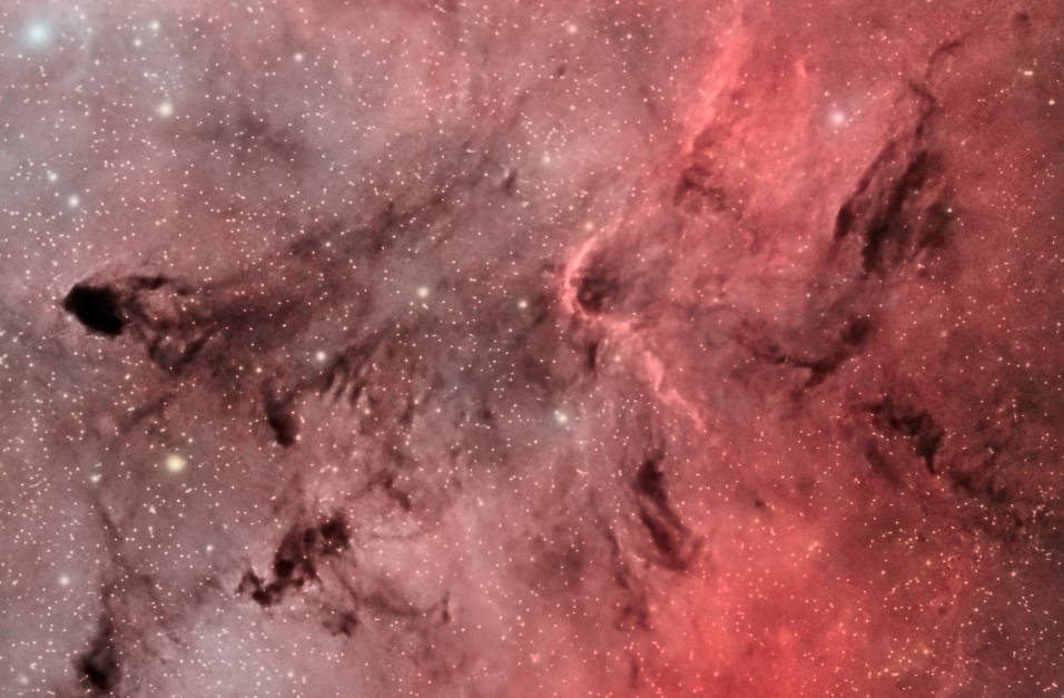 dettaglio ic1396