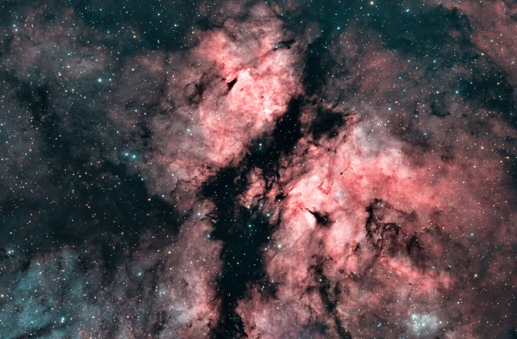 dettaglio2 Nel cuore del Cigno – tra Crescent, Sadr e le nubi della Via Lattea