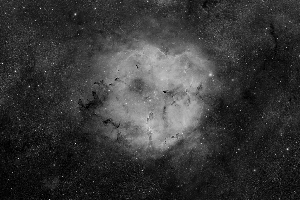 Luminanza della nebulosa proboscide di elefante